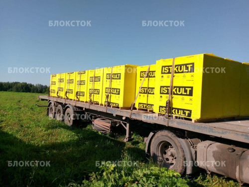 Газосиликатные U-блоки (П-блоки) Istkult 500х250х375, D500